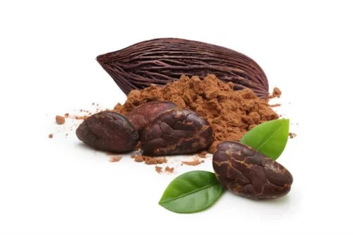 JoJo’s Organic Cacao Powder: Chocolate for a New Age and a New You