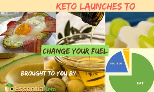 Keto Launches