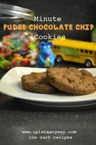 Low Carb Microwave Chocolate Fudge Cookies