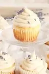 Best Vanilla Cupcake Recipe