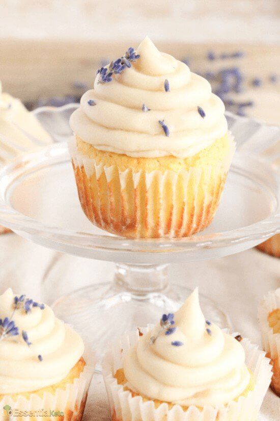 Best Vanilla Cupcake Recipe