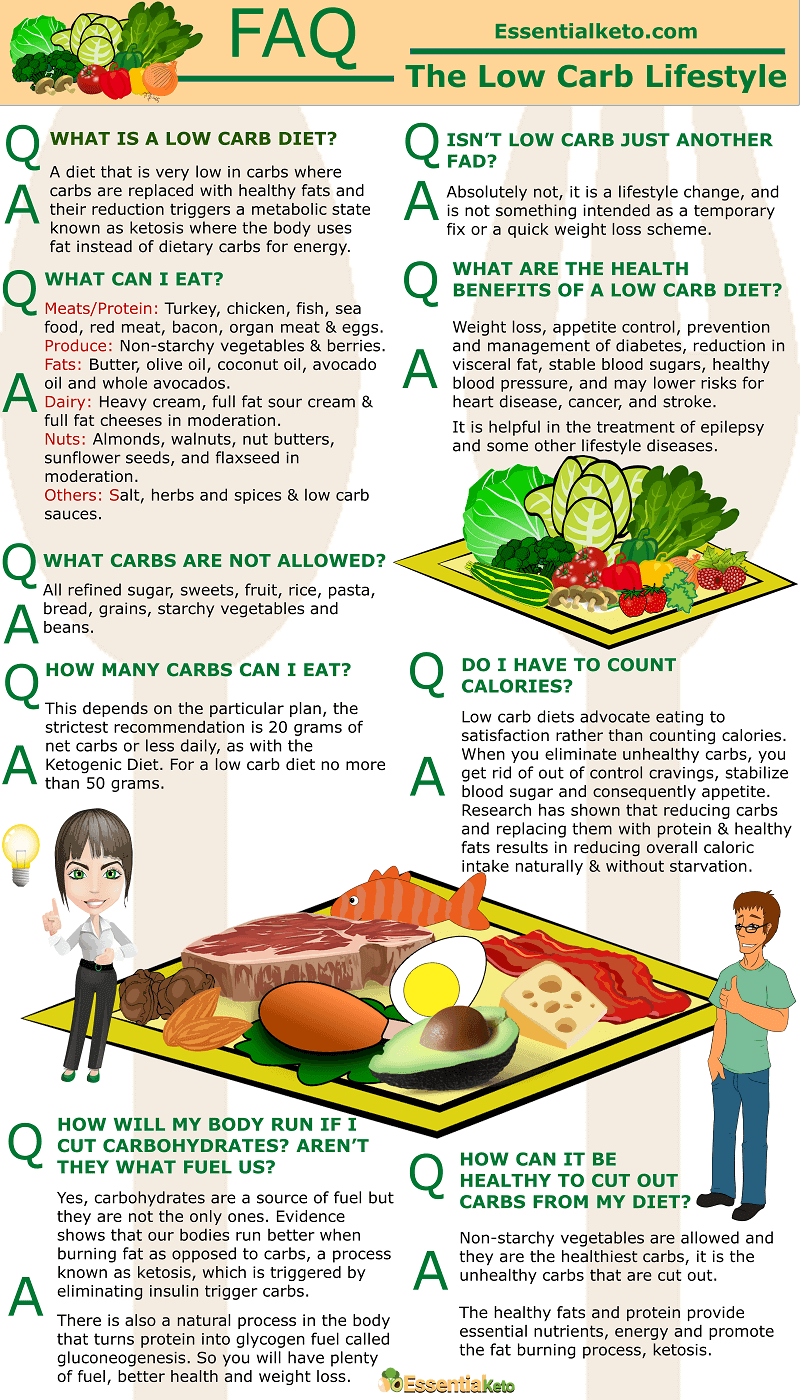 Low Carb FAQ Summary