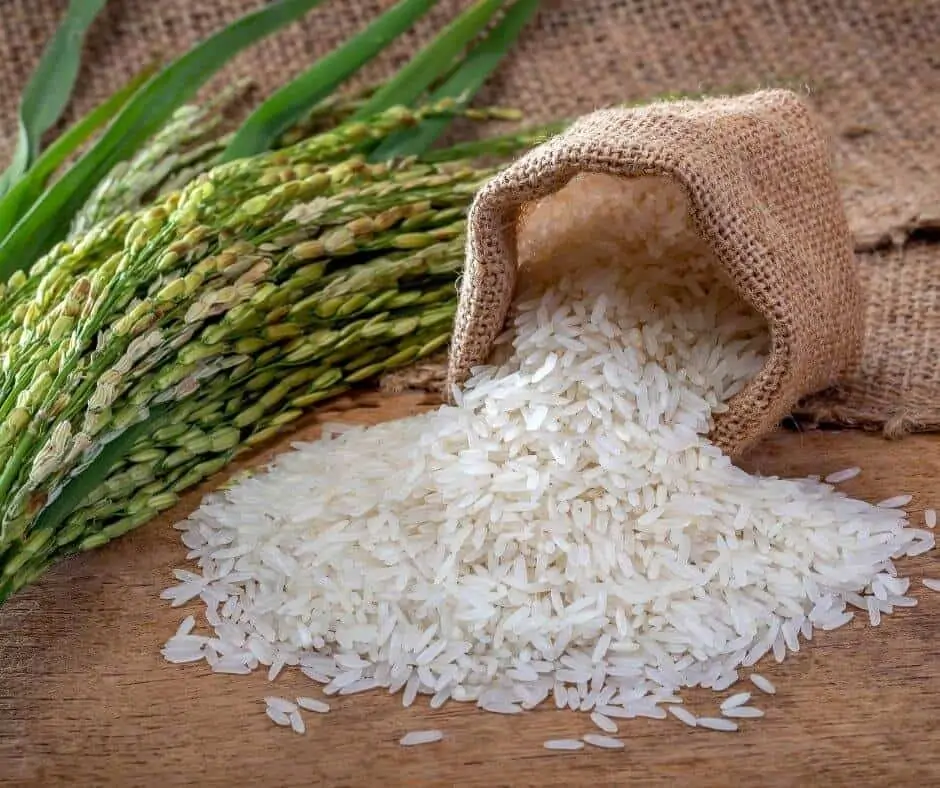 Is rice okay on Keto?