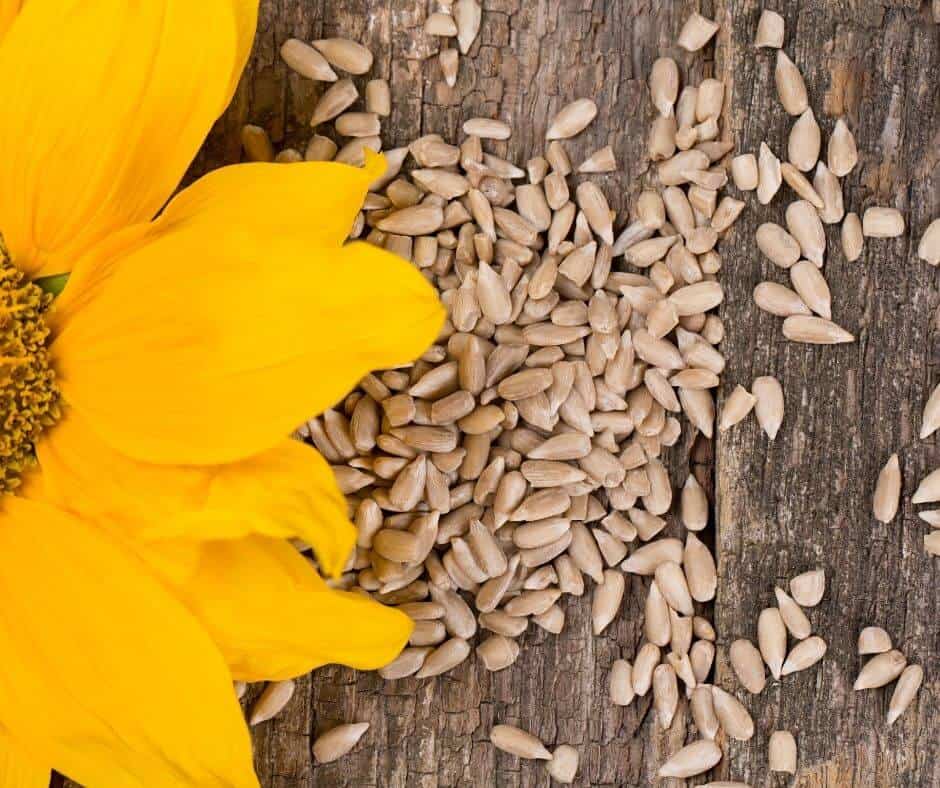 Are Sunflower Seeds Keto? Essential Keto