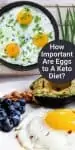 How Important Are Eggs to A Keto Diet